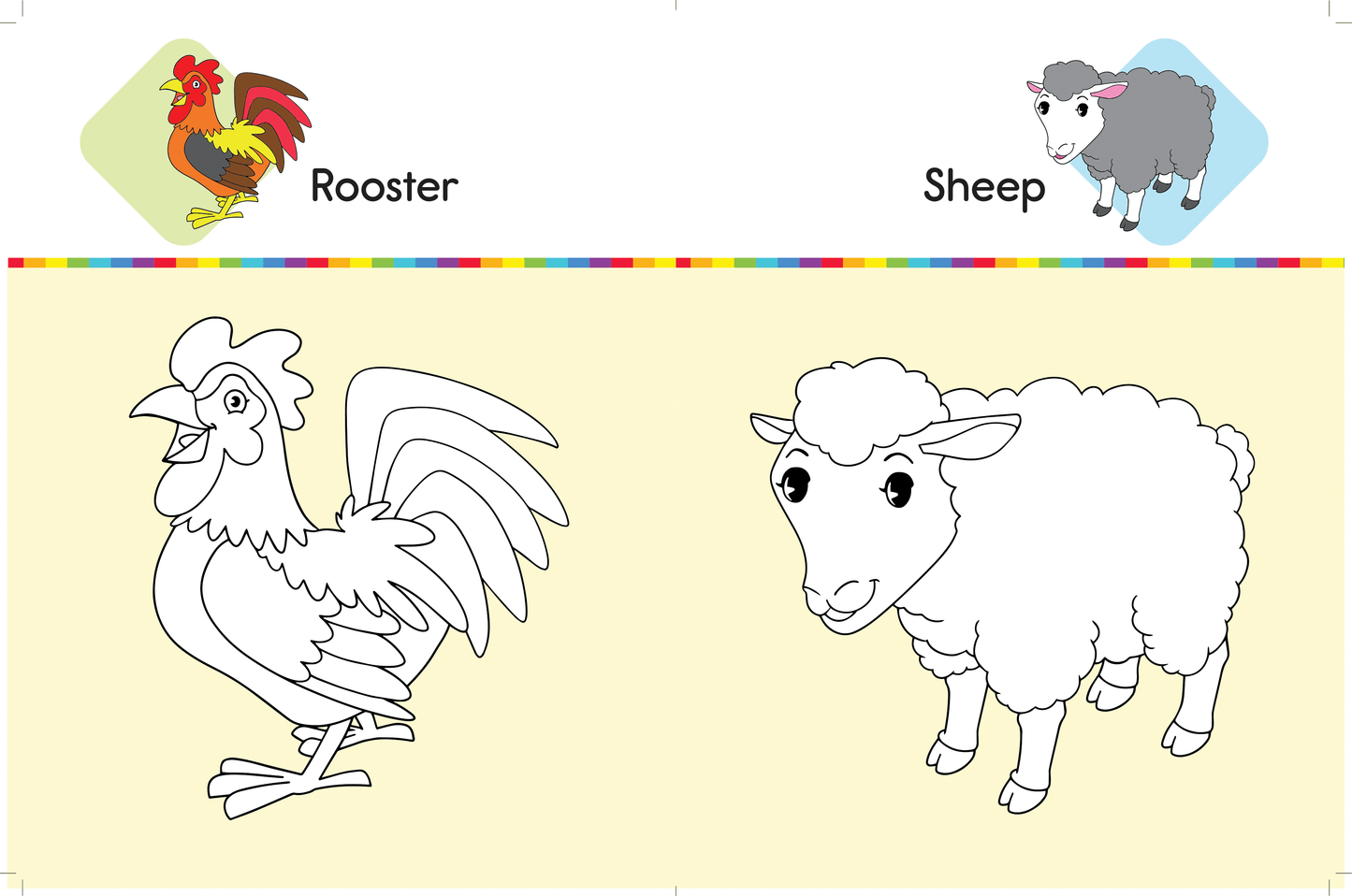 Colouring Animals