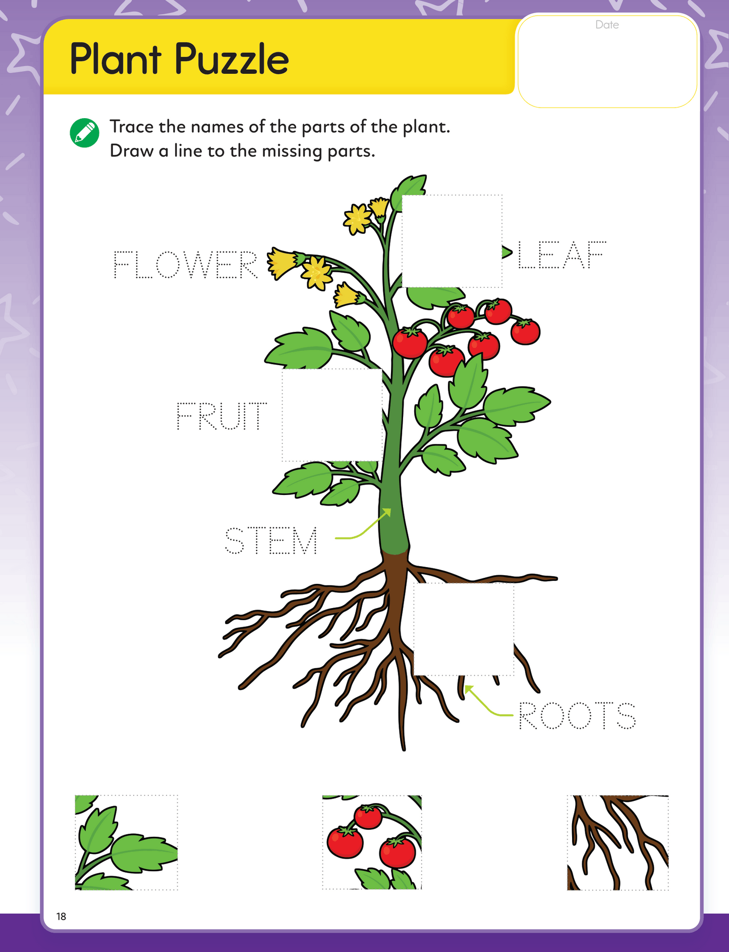 Learn In Leaps General Awareness Workbook Nursery 3+